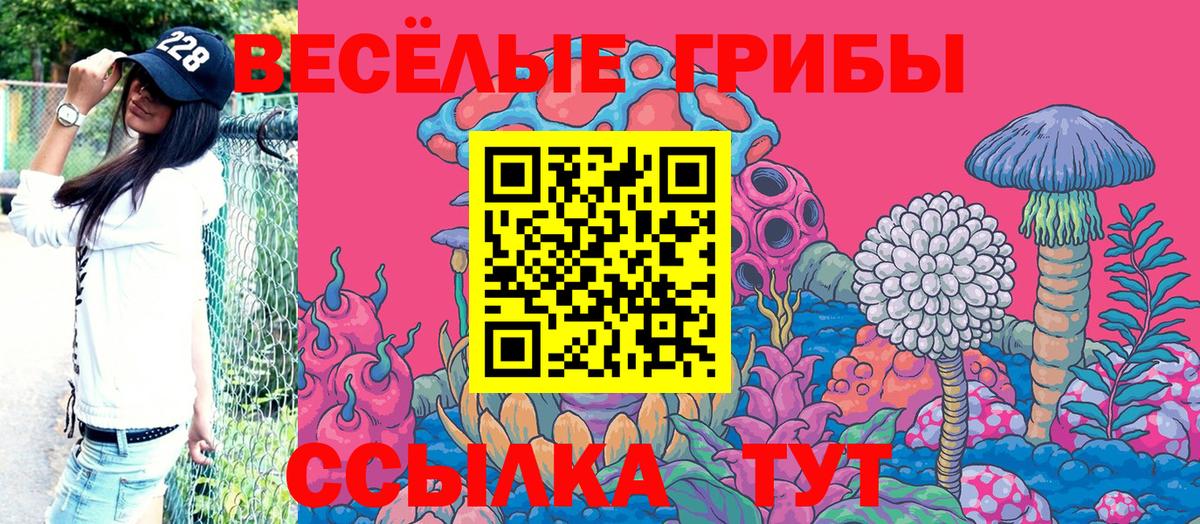 Псилоцибиновые грибы MAGIC MUSHROOMS  Галлюциногенные грибы ЛСД  наркошоп  Аксай  Вход с VPN 