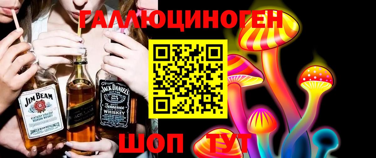 Псилоцибиновые грибы Psilocybine cubensis Аксай